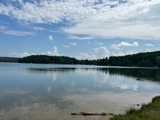 10064 Huffman Lake Road Vanderbilt, MI 49795 - Photo 22 of 26 Gallery Image 22