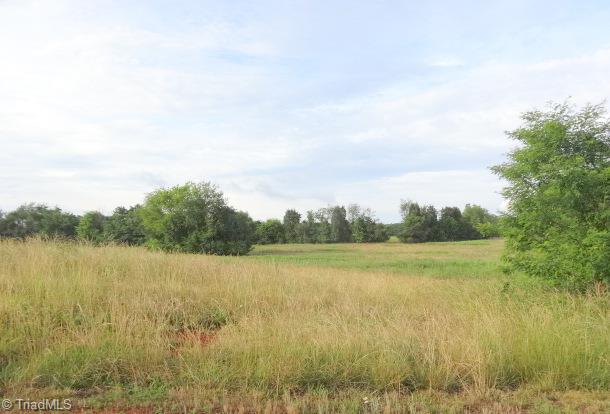 1370 Waterford Pointe Road Lexington, NC 27292 - Photo 2 of 4 Gallery Image 2