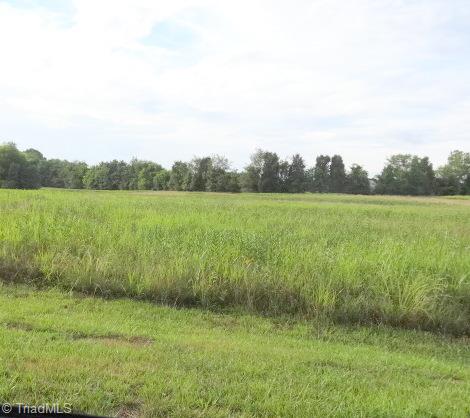 1370 Waterford Pointe Road Lexington, NC 27292 - Photo 3 of 4 Gallery Image 3