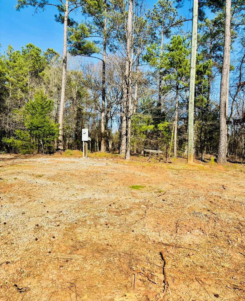 0 Latimer Boat Ramp Road Calhoun Falls, SC 29628 - Photo 7 of 19 Gallery Image 7