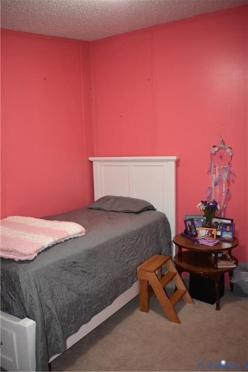 26049 Guy Place Road Courtland, VA 23837 - Photo 24 of 24 Image quality insufficient for description