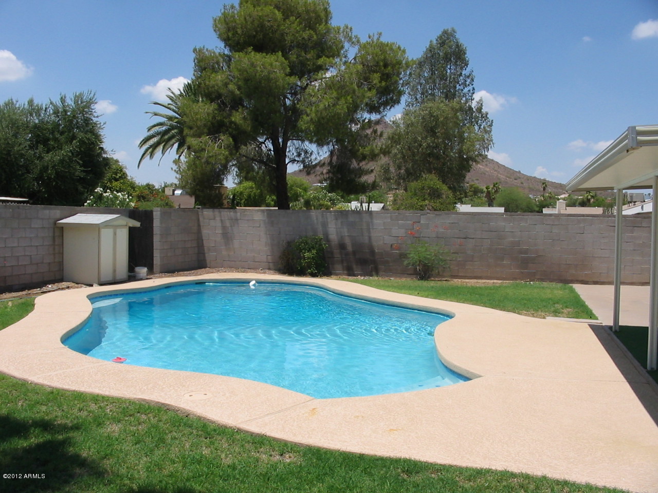 2219 East Greenway Road Phoenix, AZ 85022 - Photo 8 of 9 BACKYARD POOL W/MT. VIEWS