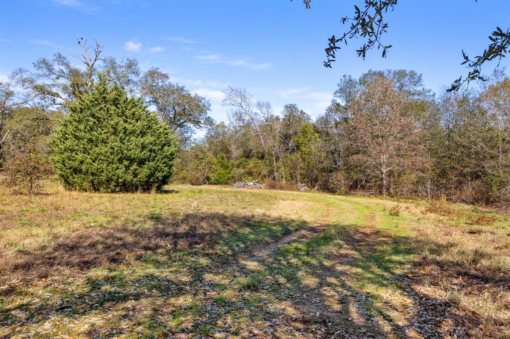 24142 Interstate 20 West Lindale, TX 75771 - Photo 4 of 12 a view of yard with large trees