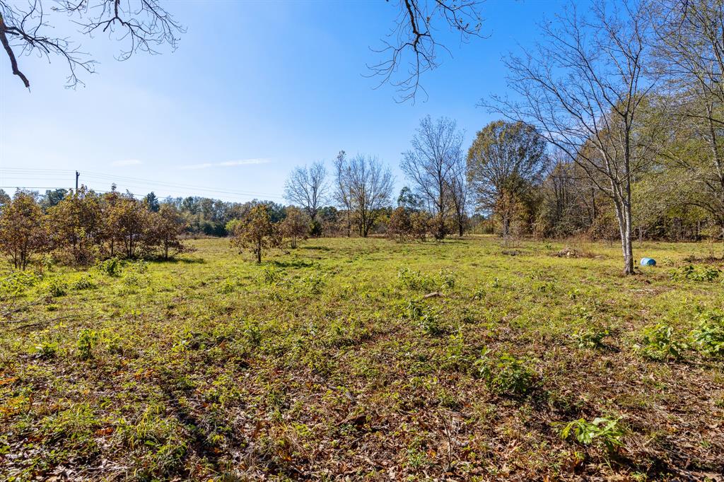 24142 Interstate 20 West Lindale, TX 75771 - Photo 5 of 12 a view of outdoor space with trees all around