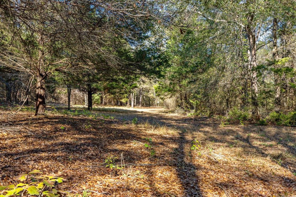 24142 Interstate 20 West Lindale, TX 75771 - Photo 6 of 12 a view of outdoor space with trees