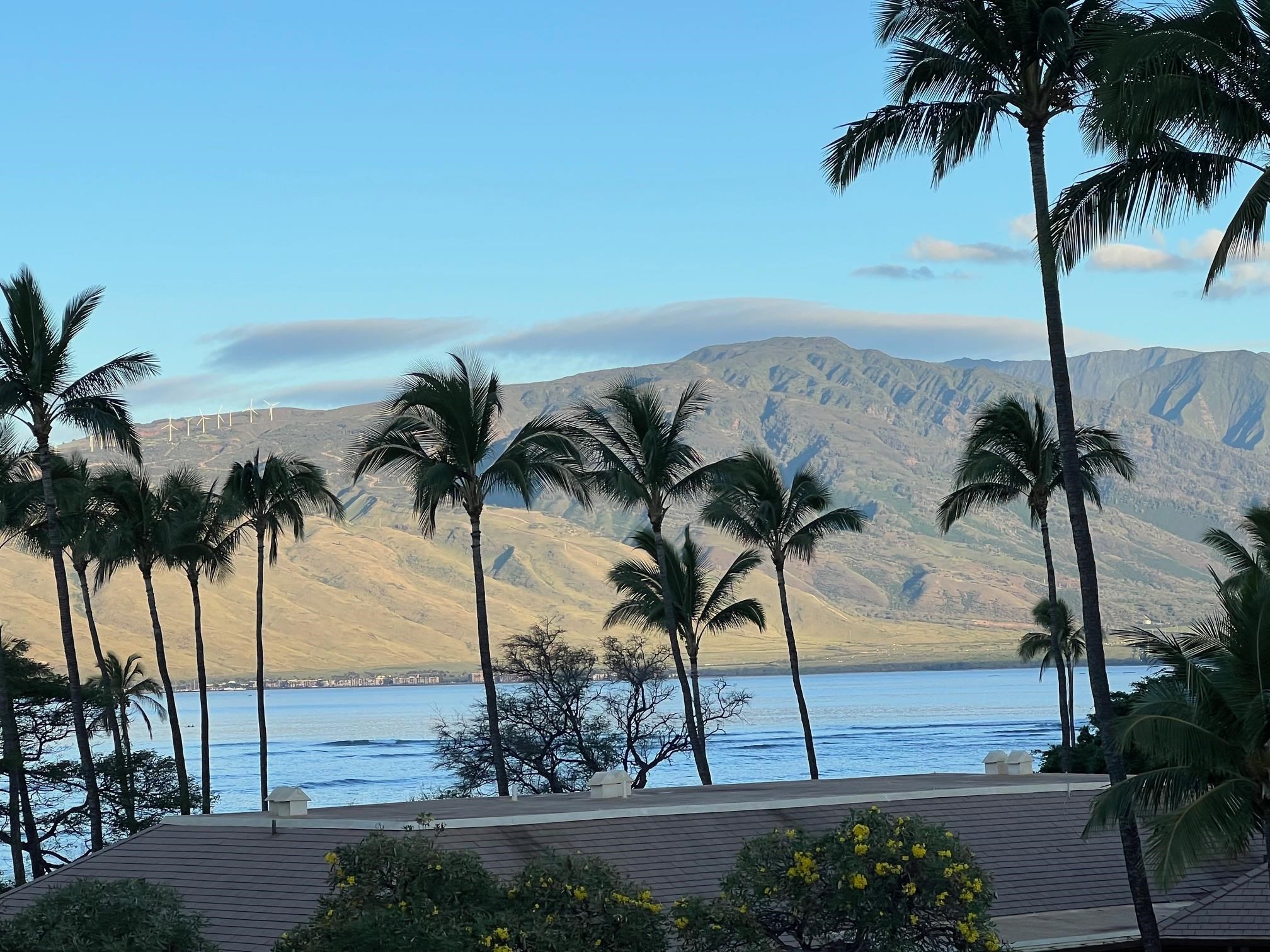 1032 South Kihei Road, Unit A514 Kihei, HI 96753 - Photo 18 of 41