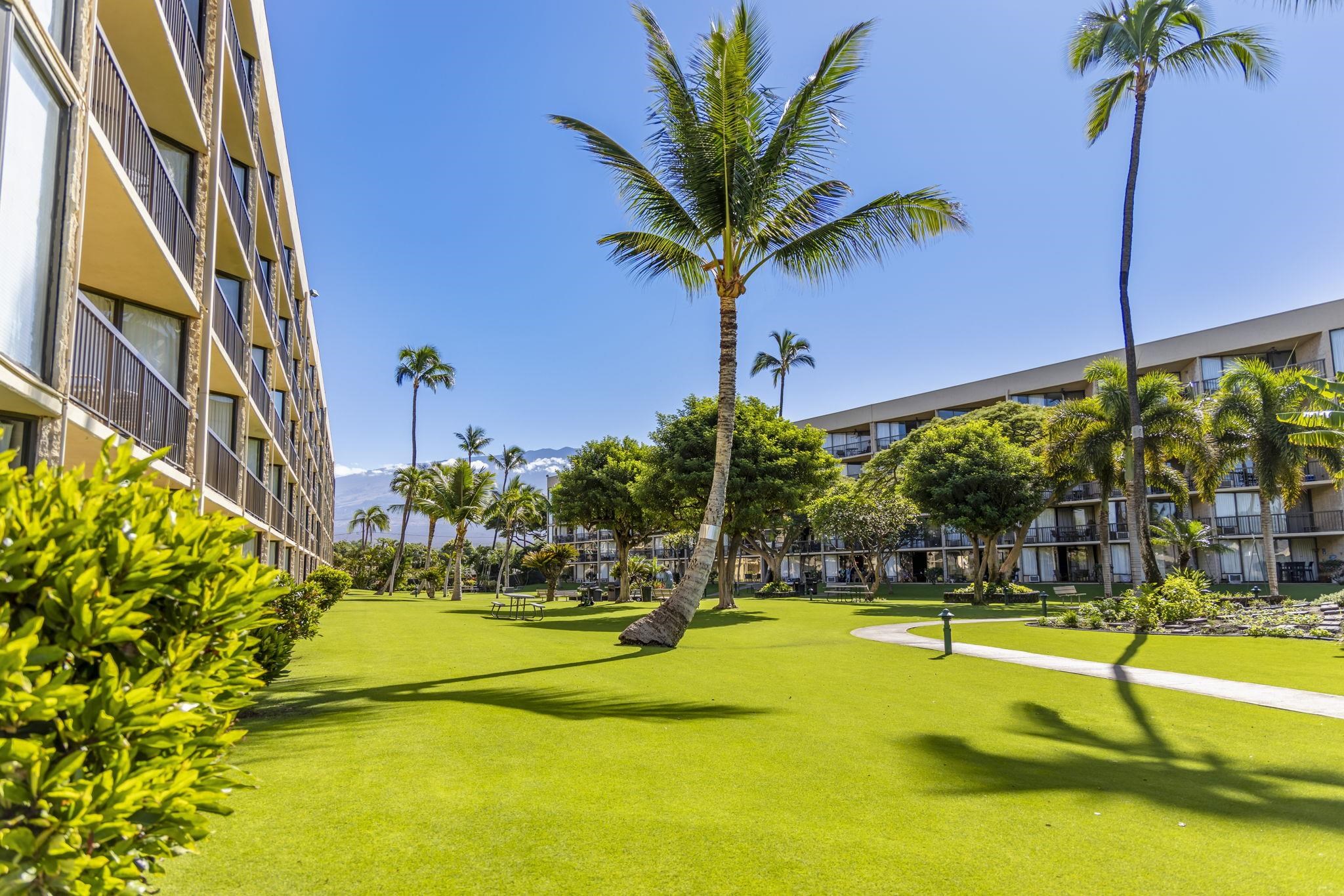 1032 South Kihei Road, Unit A514 Kihei, HI 96753 - Photo 31 of 41