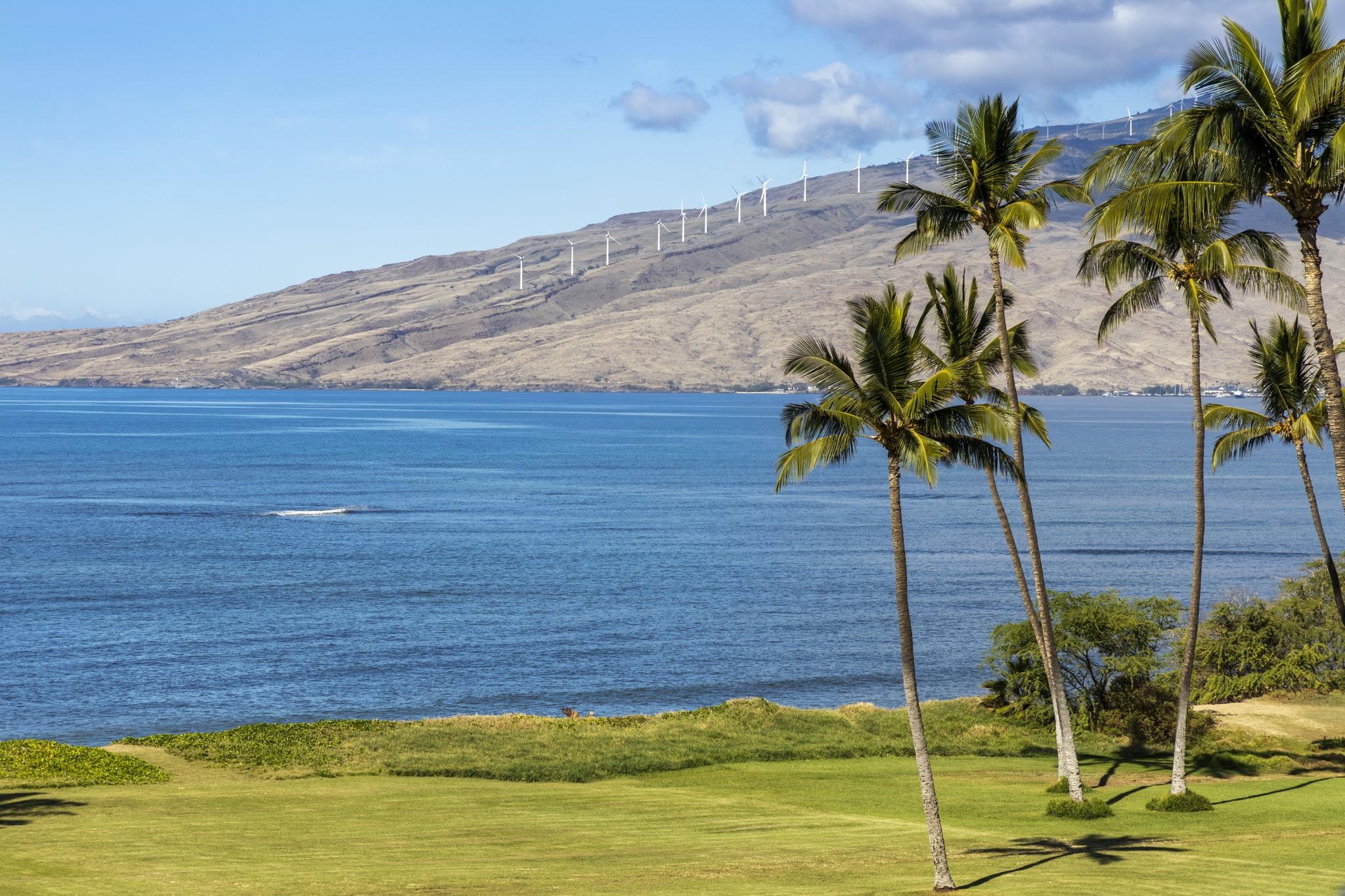 1032 South Kihei Road, Unit A514 Kihei, HI 96753 - Photo 38 of 41