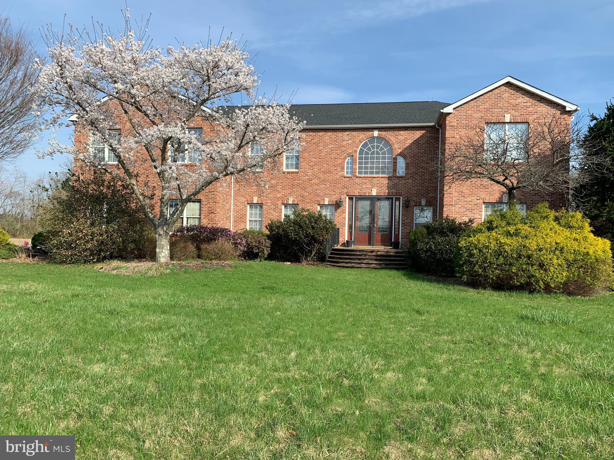 a front view of house with yard and green space