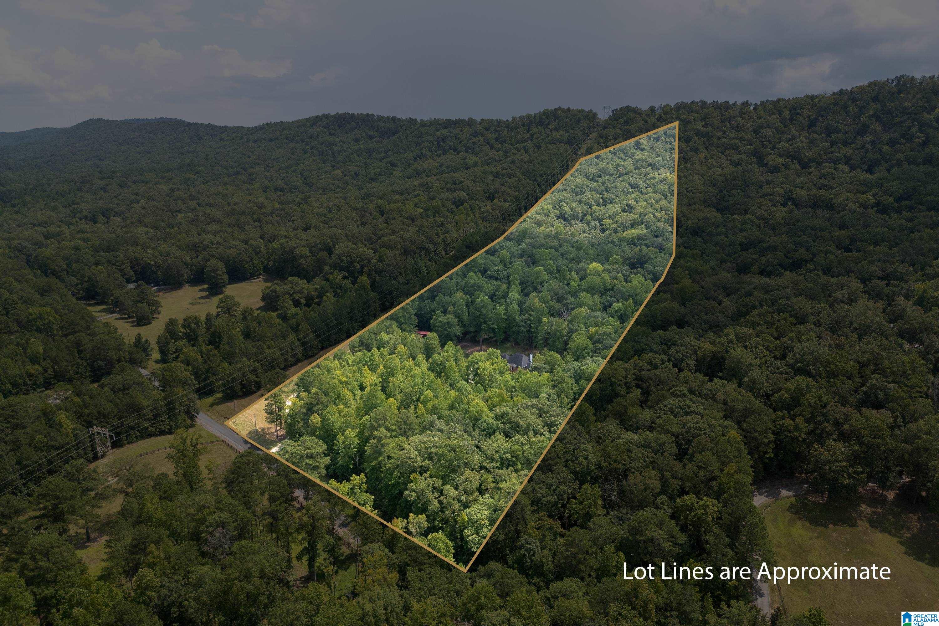 356 Shoal Ridge Leeds, AL 35094 - Photo 73 of 74