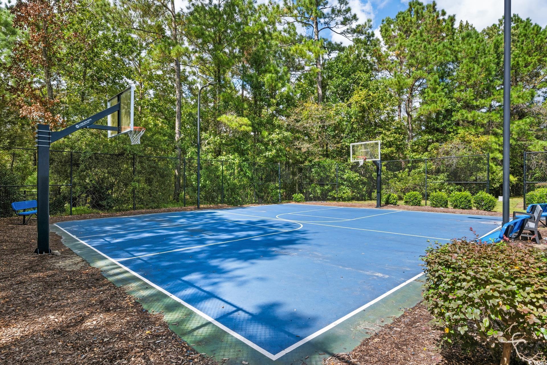 2073 Timmerman Road Myrtle Beach, SC 29588 - Photo 29 of 34 View of sport court with basketball court
