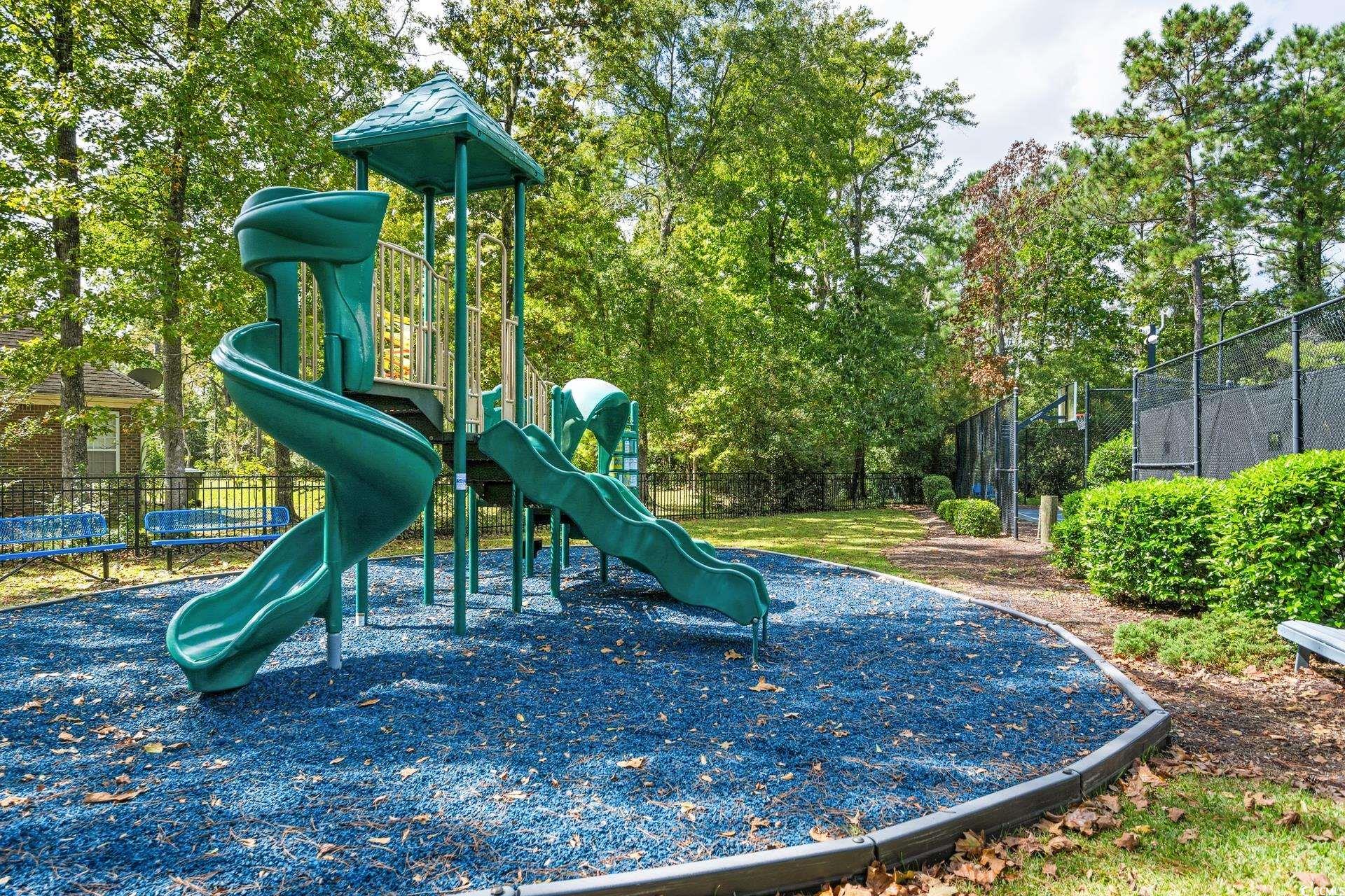 2073 Timmerman Road Myrtle Beach, SC 29588 - Photo 30 of 34 View of community jungle gym