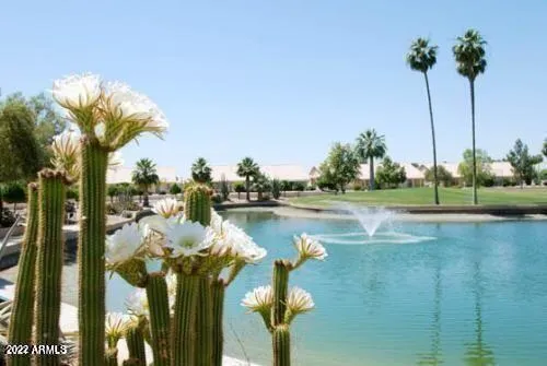 $2,850 | 1149 South Firefly Avenue, Mesa, AZ 85208