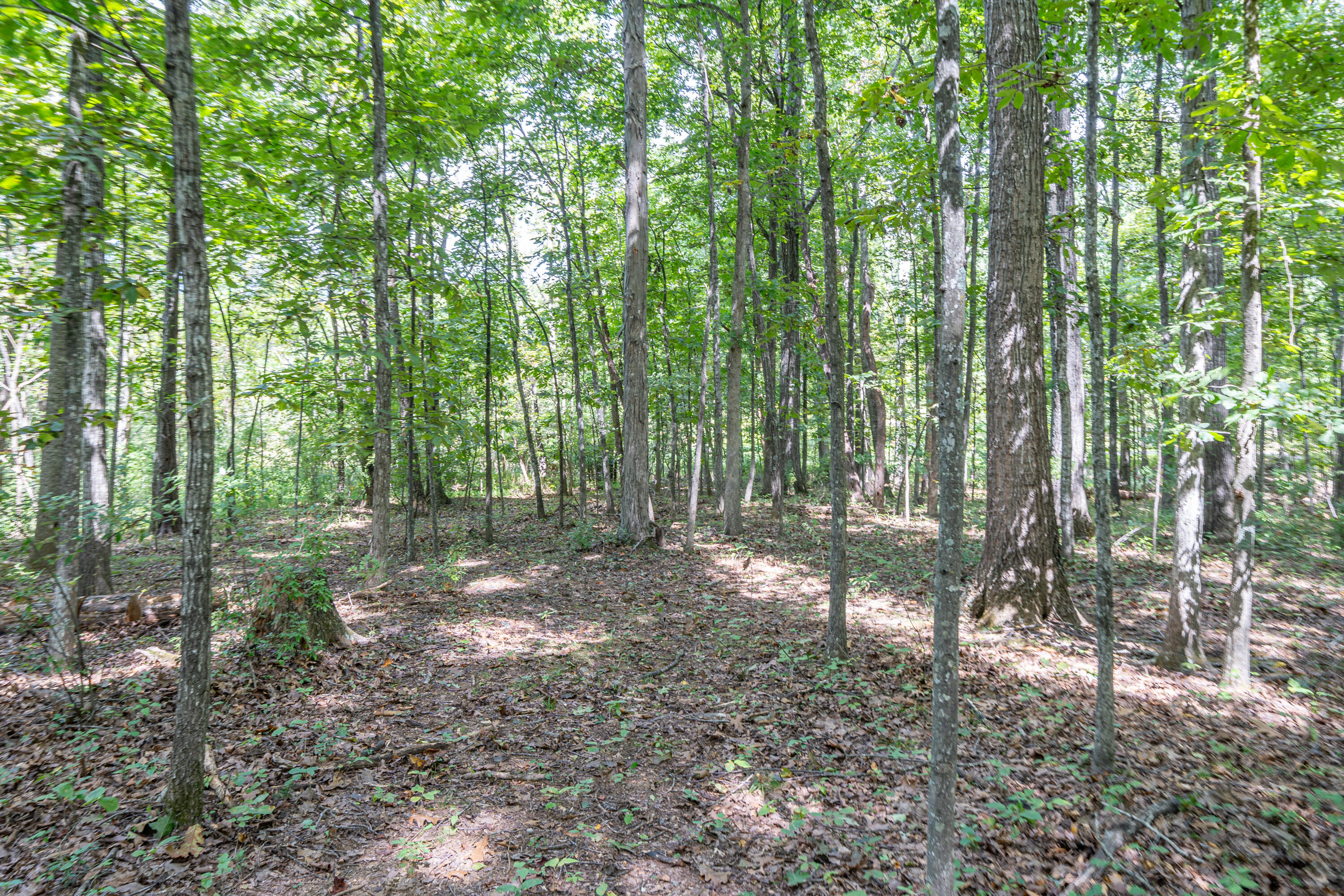 0 Country Club Road Troutville, VA 24175 - Photo 7 of 18 a view of outdoor space and trees