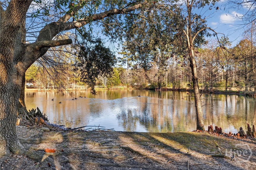 1063 Old Olive Branch Road Ellabell, GA 31308 - Photo 3 of 71