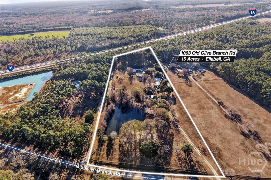 1063 Old Olive Branch Road Ellabell, GA 31308 - Photo 6 of 71