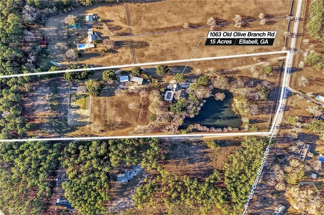 $1,295,000 | 1063 Old Olive Branch Road, Ellabell, GA 31308