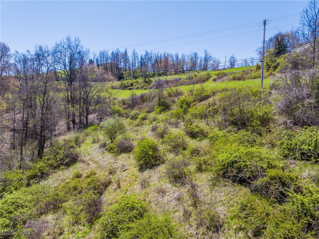 536 State Route Sardis, OH 43946 - Photo 9 of 19 View of local wilderness