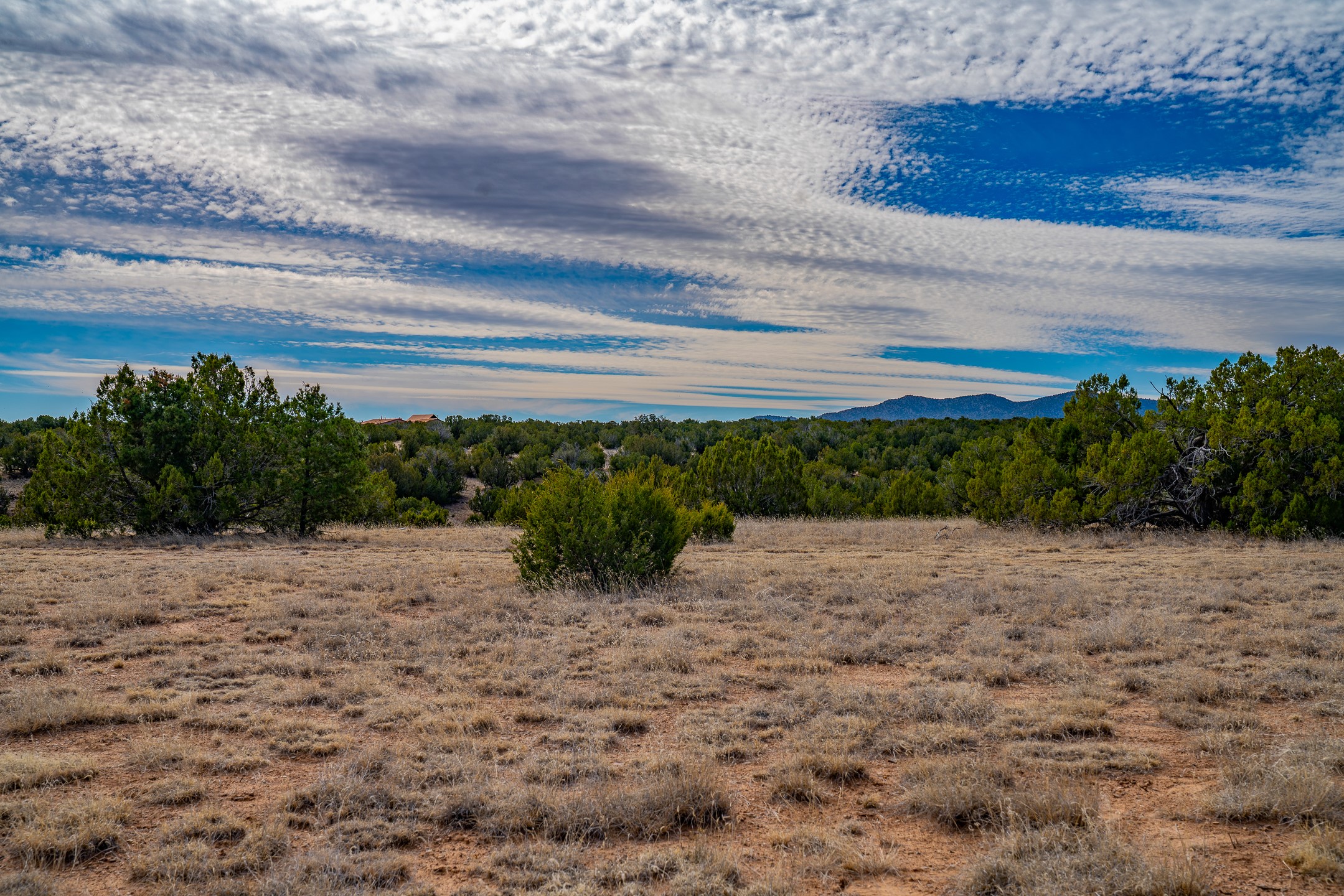49-65 Blue Agave/grenfell Ranch Cerrillos, NM 87010 - Photo 20 of 36