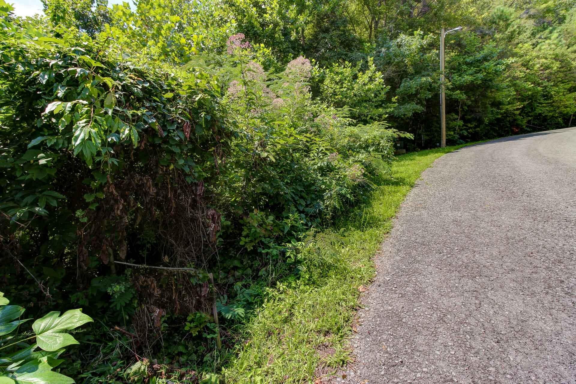 3334 Riversong Way Sevierville, TN 37876 - Photo 2 of 9 Gallery Image 2