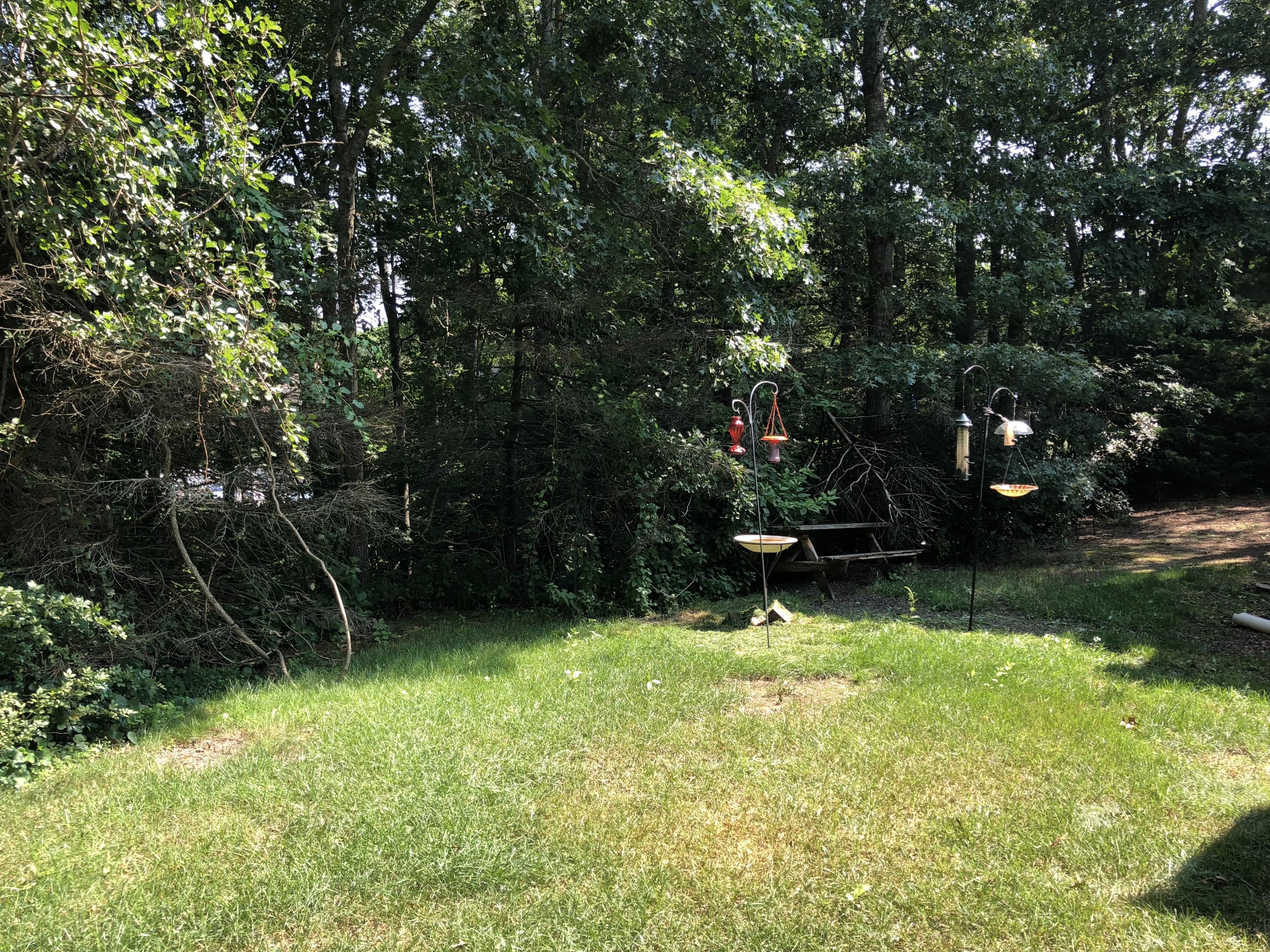 17 Forest Road Forestdale, MA 02644 - Photo 10 of 11 IMG_1435