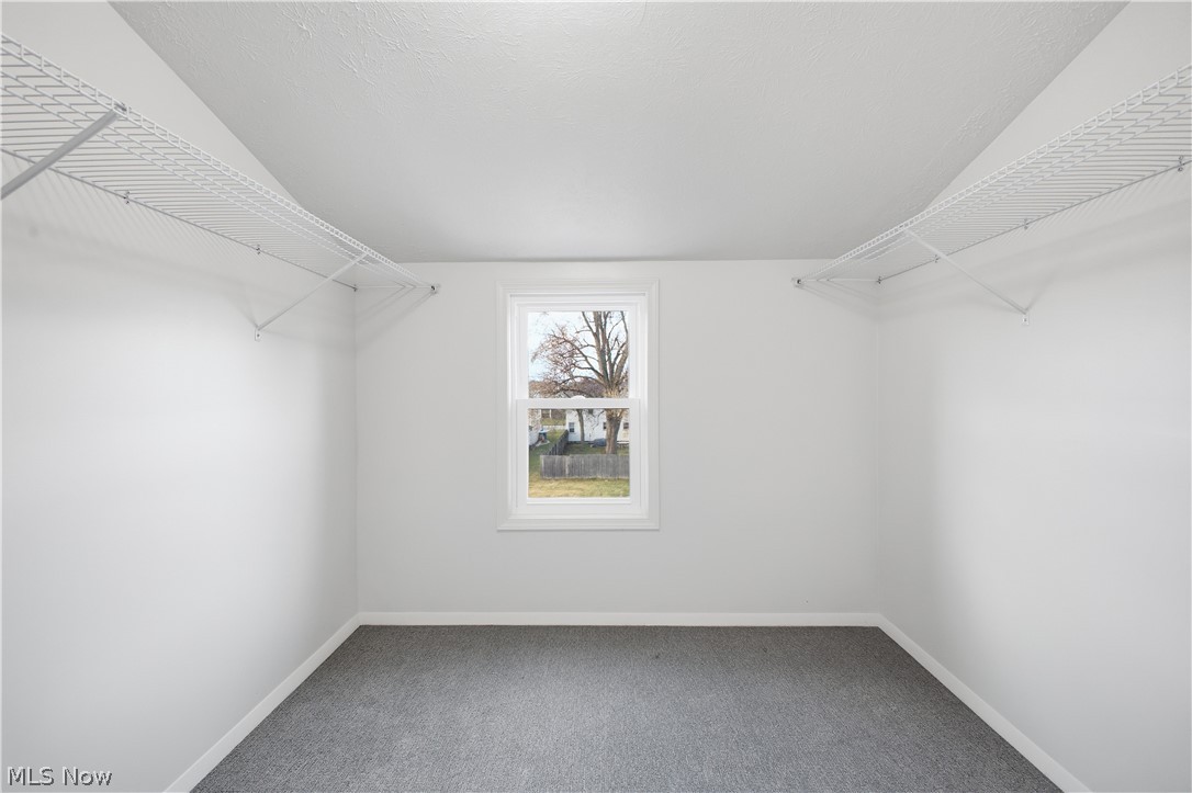 227 Wilson Street Struthers, OH 44471 - Photo 32 of 44 Walk in closet featuring carpet flooring