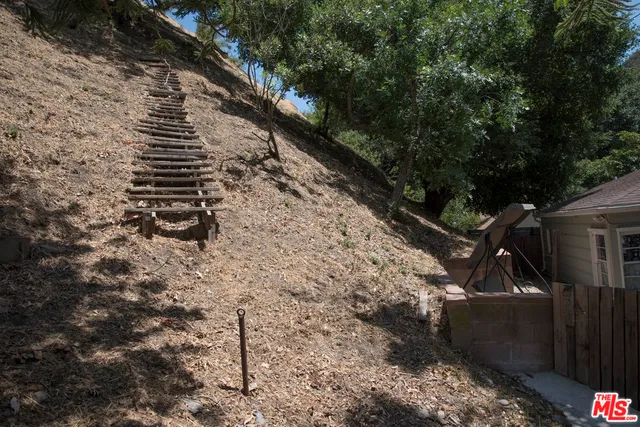 a view of a yard with plants and trees