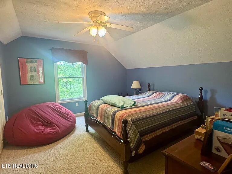 978 Corey Way Del Rio, TN 37727 - Photo 29 of 50 arbogast br 2