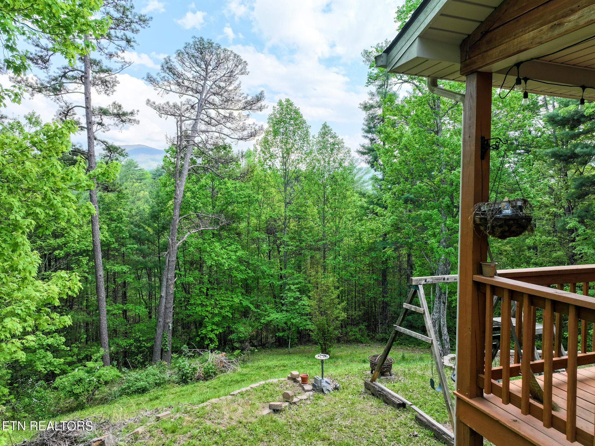 978 Corey Way Del Rio, TN 37727 - Photo 42 of 50 DJI_20250429172208_0062_D