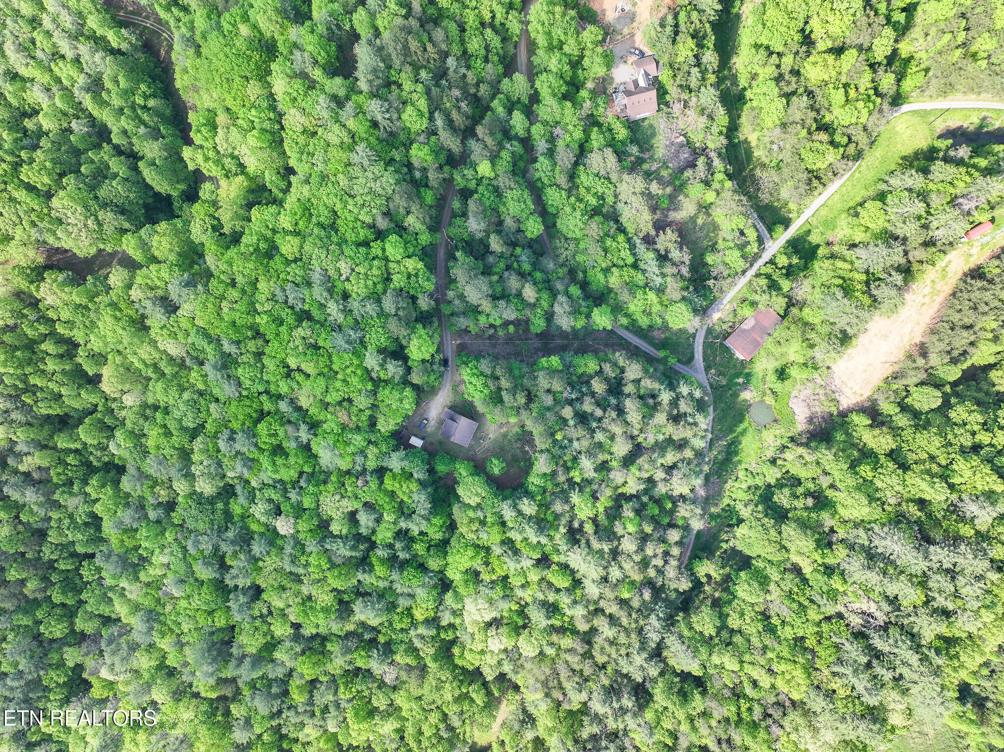 978 Corey Way Del Rio, TN 37727 - Photo 48 of 50 DJI_20250429171152_0022_D