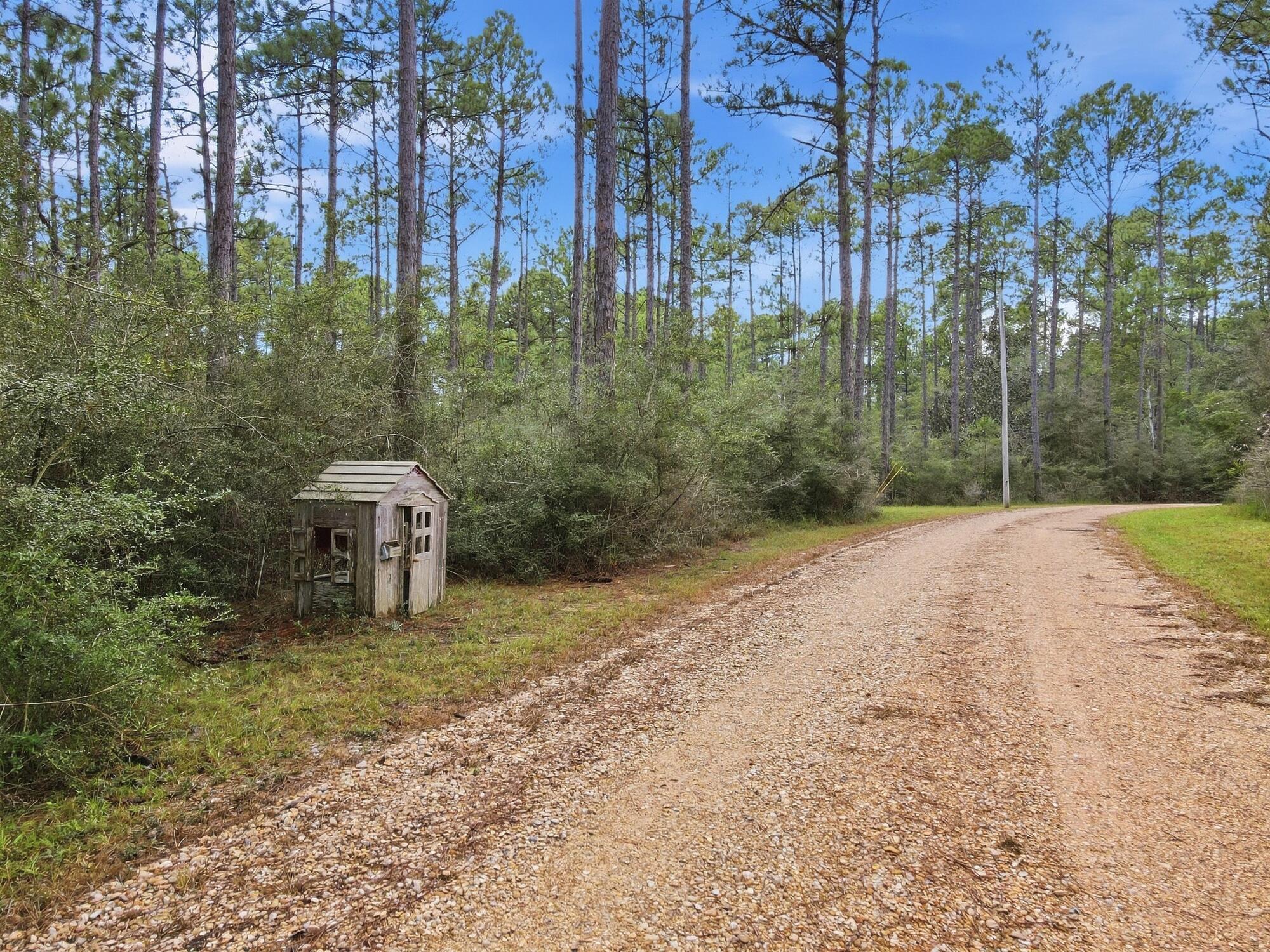 463 Jess Williams Road Poplarville, MS 39470 - Photo 49 of 59 Gallery Image 49
