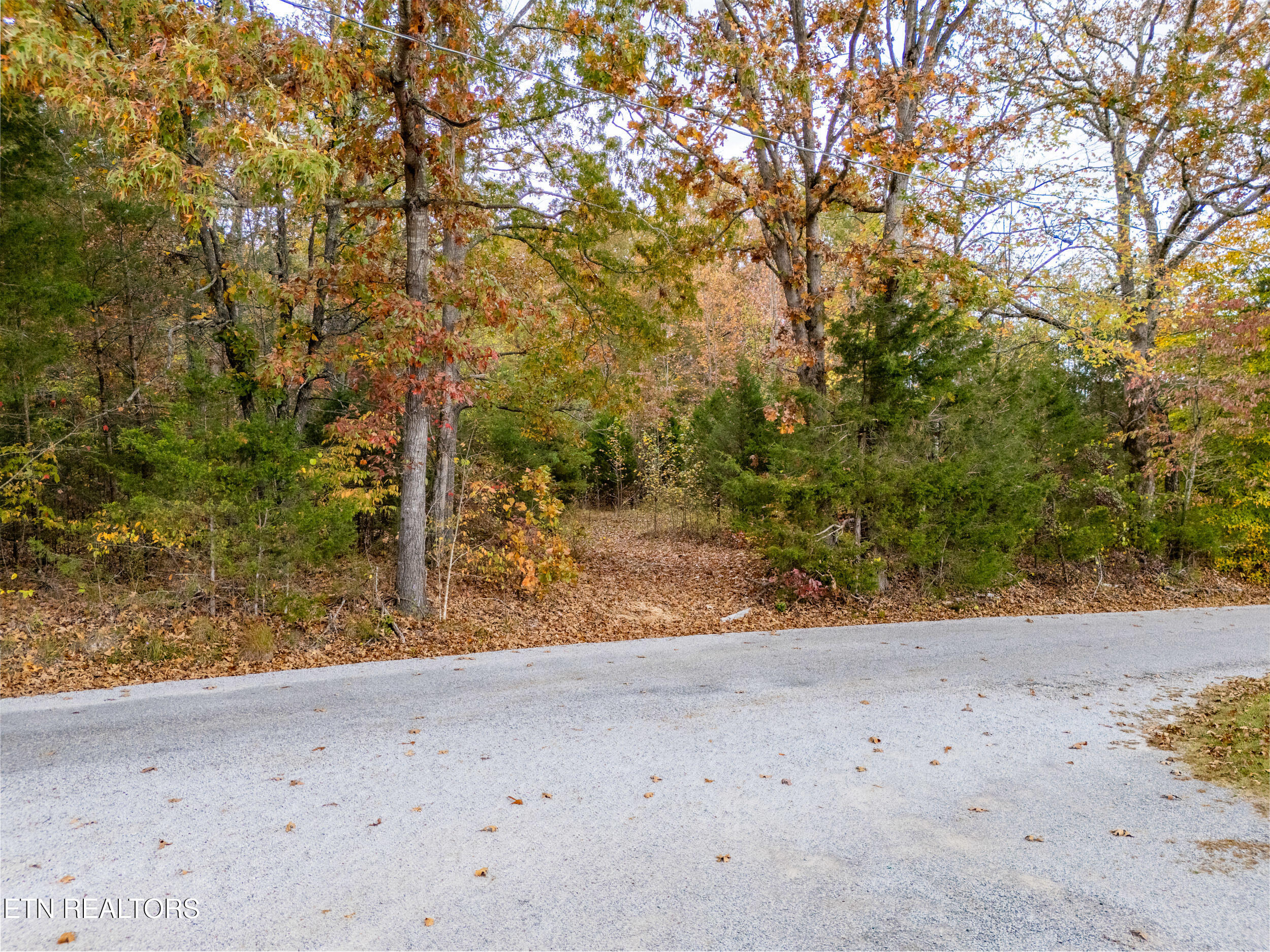 17.98-acre Pin Hook Road Sparta, TN 38583 - Photo 2 of 15 mls-9