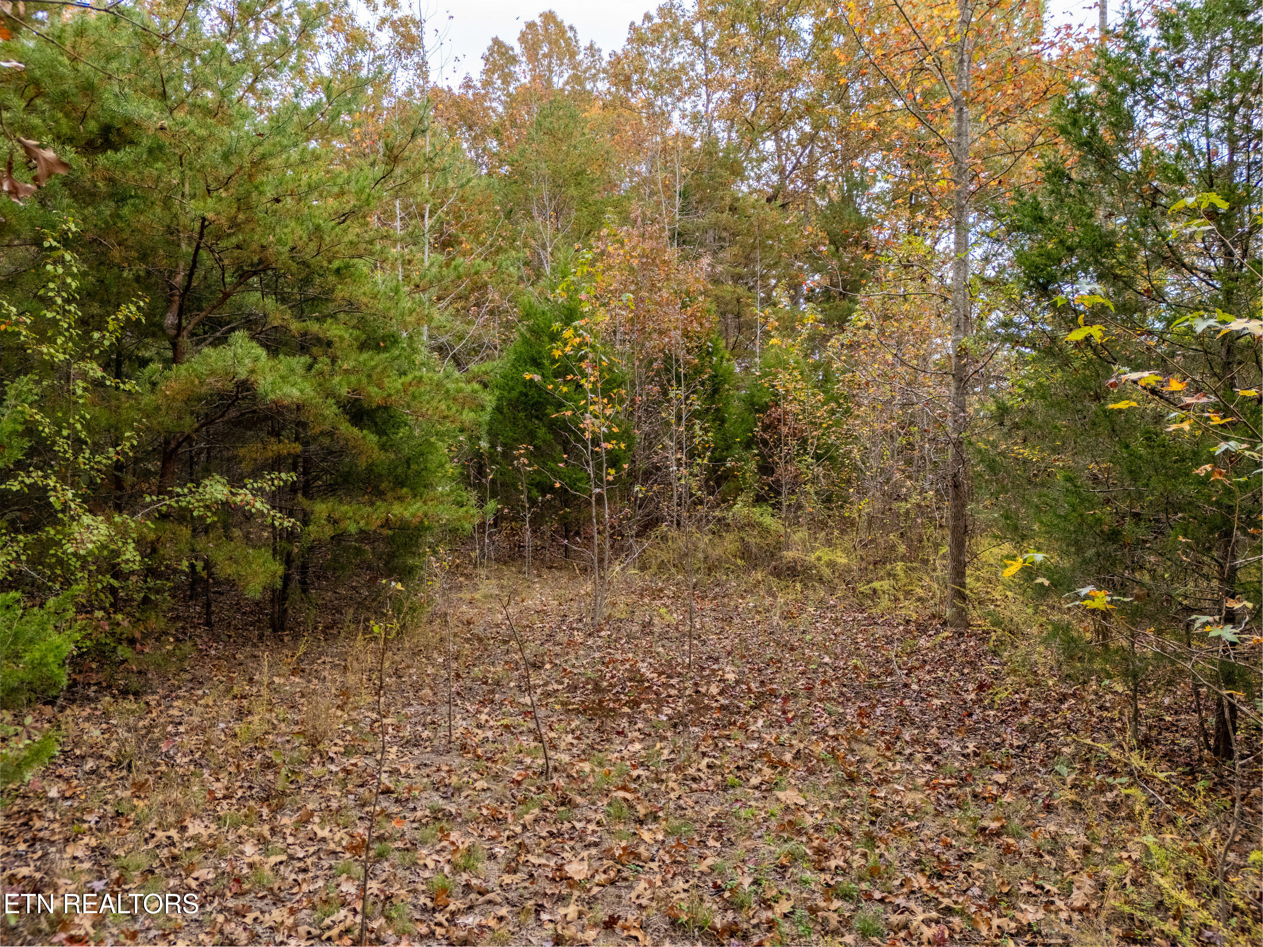 17.98-acre Pin Hook Road Sparta, TN 38583 - Photo 3 of 15 mls-10