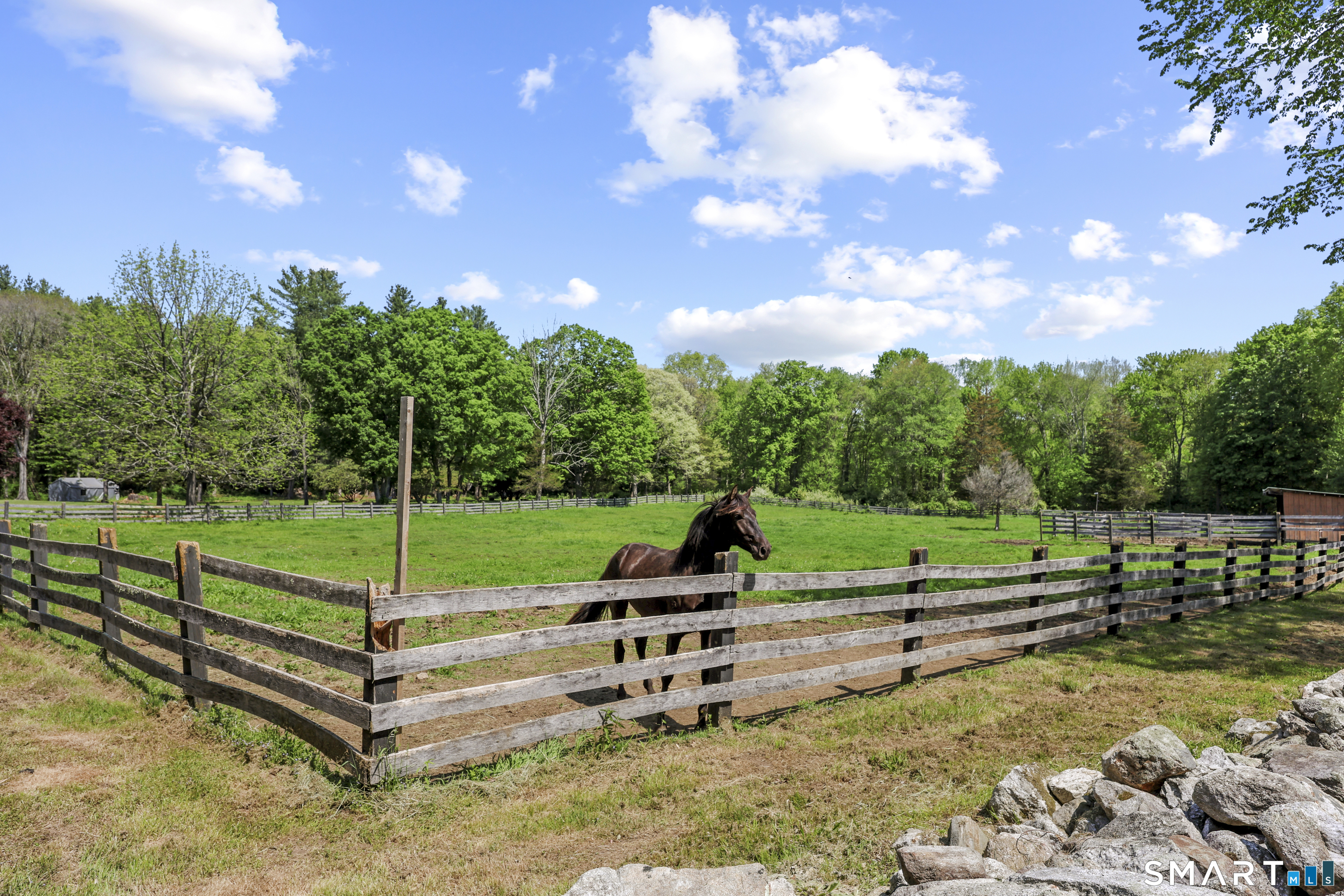 2880 Main Street Coventry, CT 06238 - Photo 34 of 40 Large fully fenced grassy paddock.