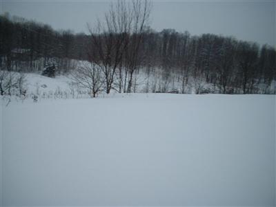 4596 Kast Road Benzonia, MI 49616 - Photo 5 of 9 Additional Photo