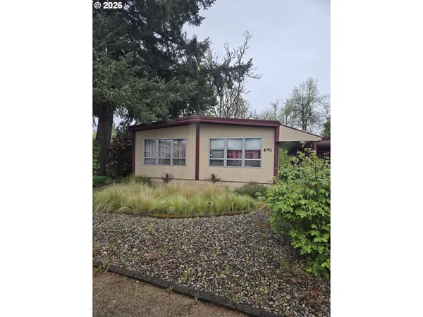 a view of a house with a yard plants and large tree