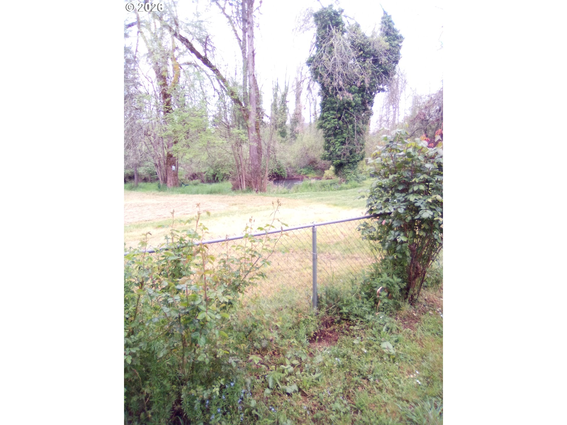 77500 South 6th Street Cottage Grove, OR 97424 - Photo 6 of 16 a view of a yard with large trees