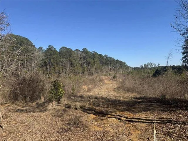 $155,000 | 0 Dug Leckie Cutoff Road, Pollock, LA 71467