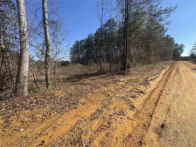 0 Dug Leckie Cutoff Road Pollock, LA 71467 - Photo 12 of 22