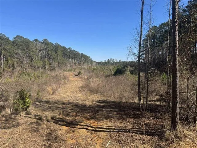 $155,000 | 0 Dug Leckie Cutoff Road, Pollock, LA 71467