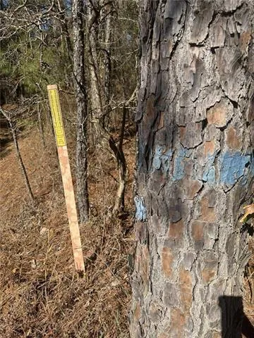 $155,000 | 0 Dug Leckie Cutoff Road, Pollock, LA 71467