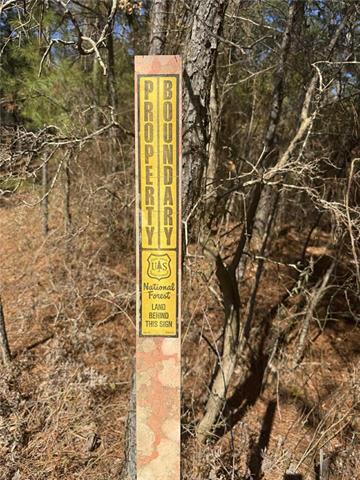 0 Dug Leckie Cutoff Road Pollock, LA 71467 - Photo 15 of 22