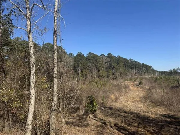 $155,000 | 0 Dug Leckie Cutoff Road, Pollock, LA 71467