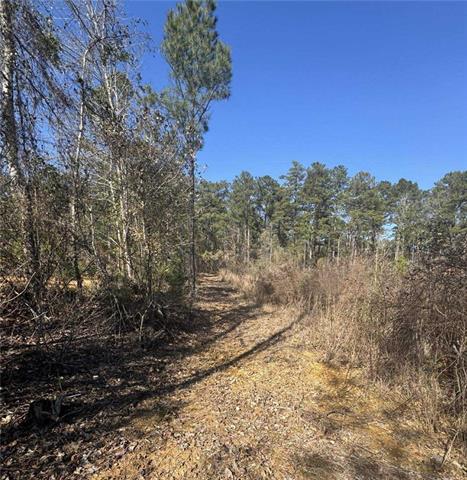 0 Dug Leckie Cutoff Road Pollock, LA 71467 - Photo 17 of 22