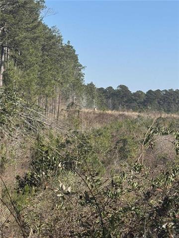 0 Dug Leckie Cutoff Road Pollock, LA 71467 - Photo 18 of 22
