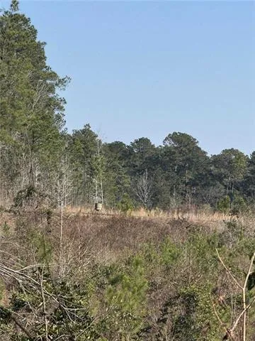 $155,000 | 0 Dug Leckie Cutoff Road, Pollock, LA 71467