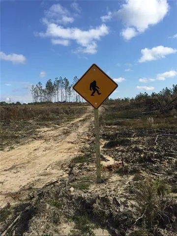 $155,000 | 0 Dug Leckie Cutoff Road, Pollock, LA 71467