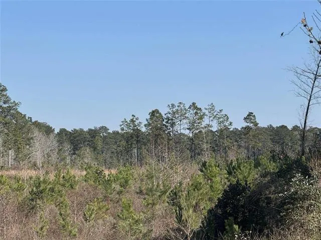 $155,000 | 0 Dug Leckie Cutoff Road, Pollock, LA 71467