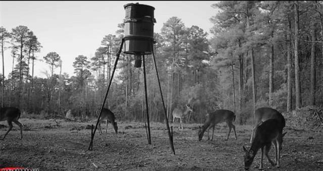 0 Dug Leckie Cutoff Road Pollock, LA 71467 - Photo 21 of 22