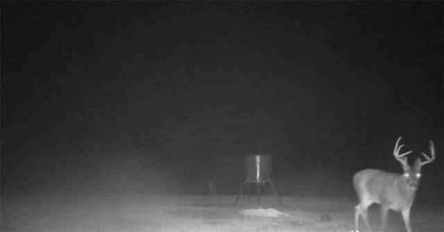 0 Dug Leckie Cutoff Road Pollock, LA 71467 - Photo 22 of 22